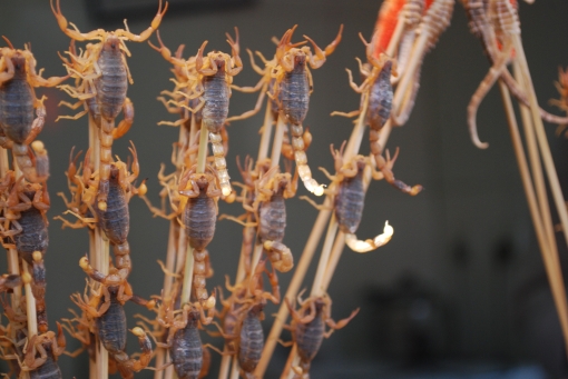 Many of us have a cognitive bias toward eating scorpions!